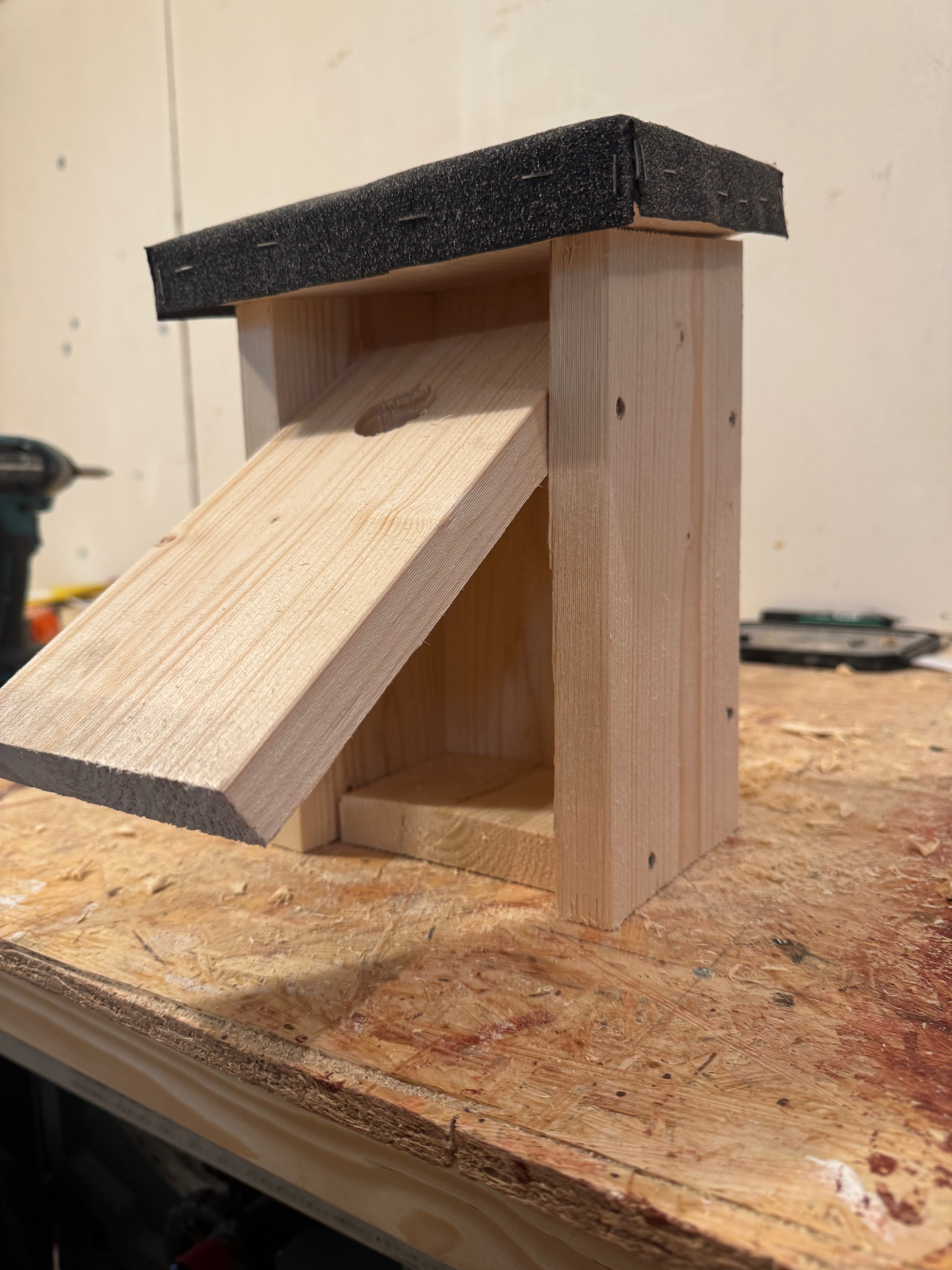 SmĂ„fĂ„gel Holk- Ăppningsbar!