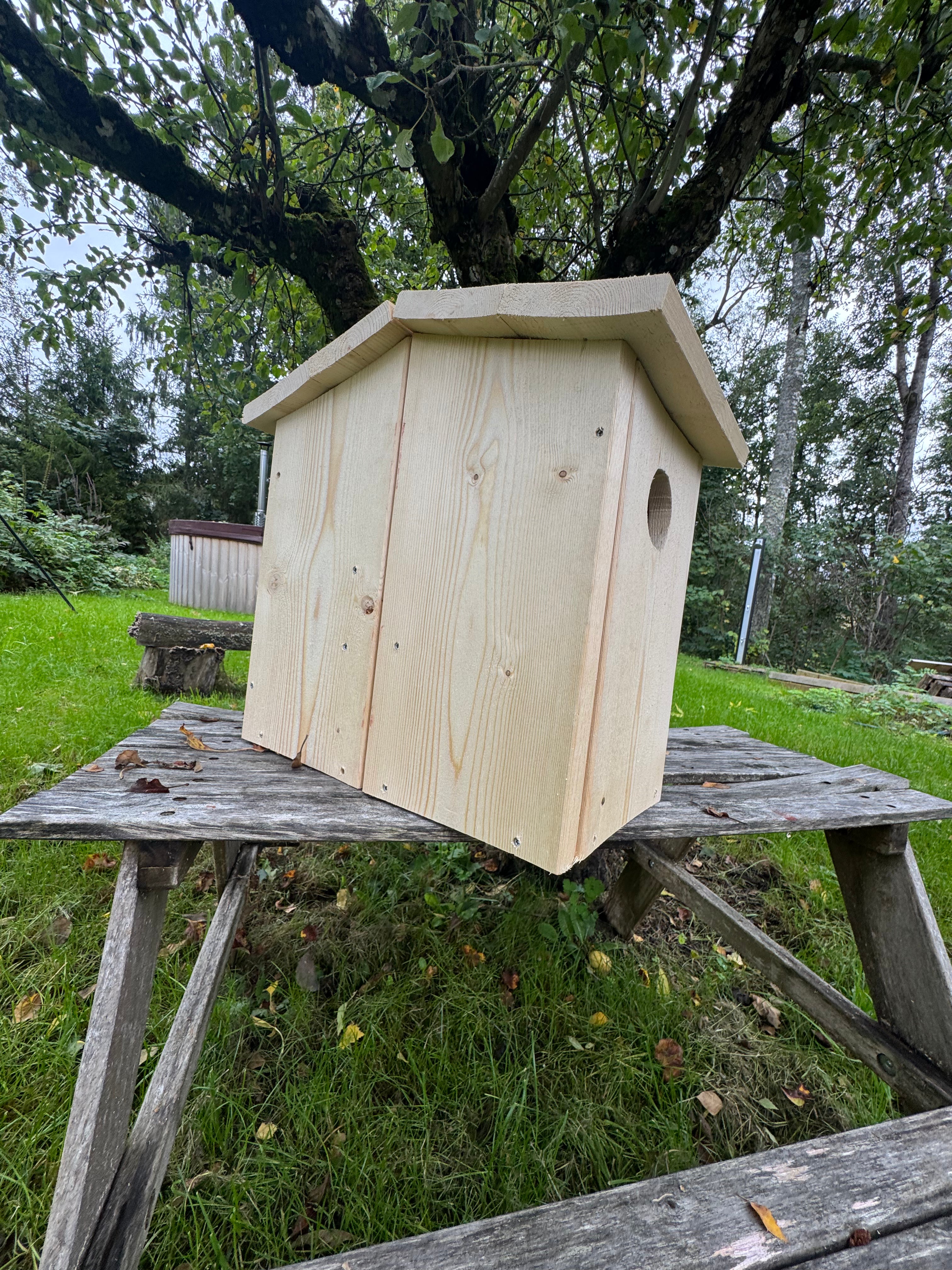 Stort ekorrsbo