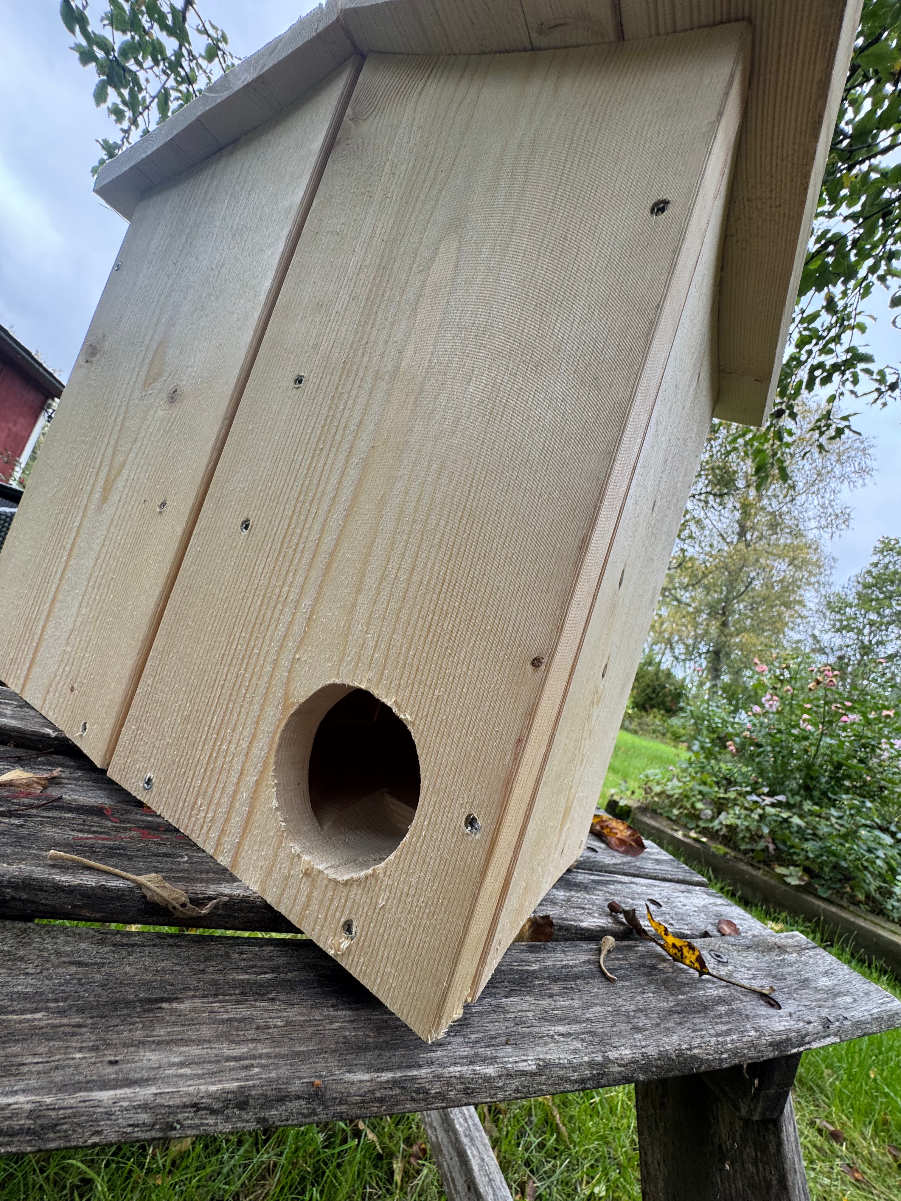 Stort ekorrsbo