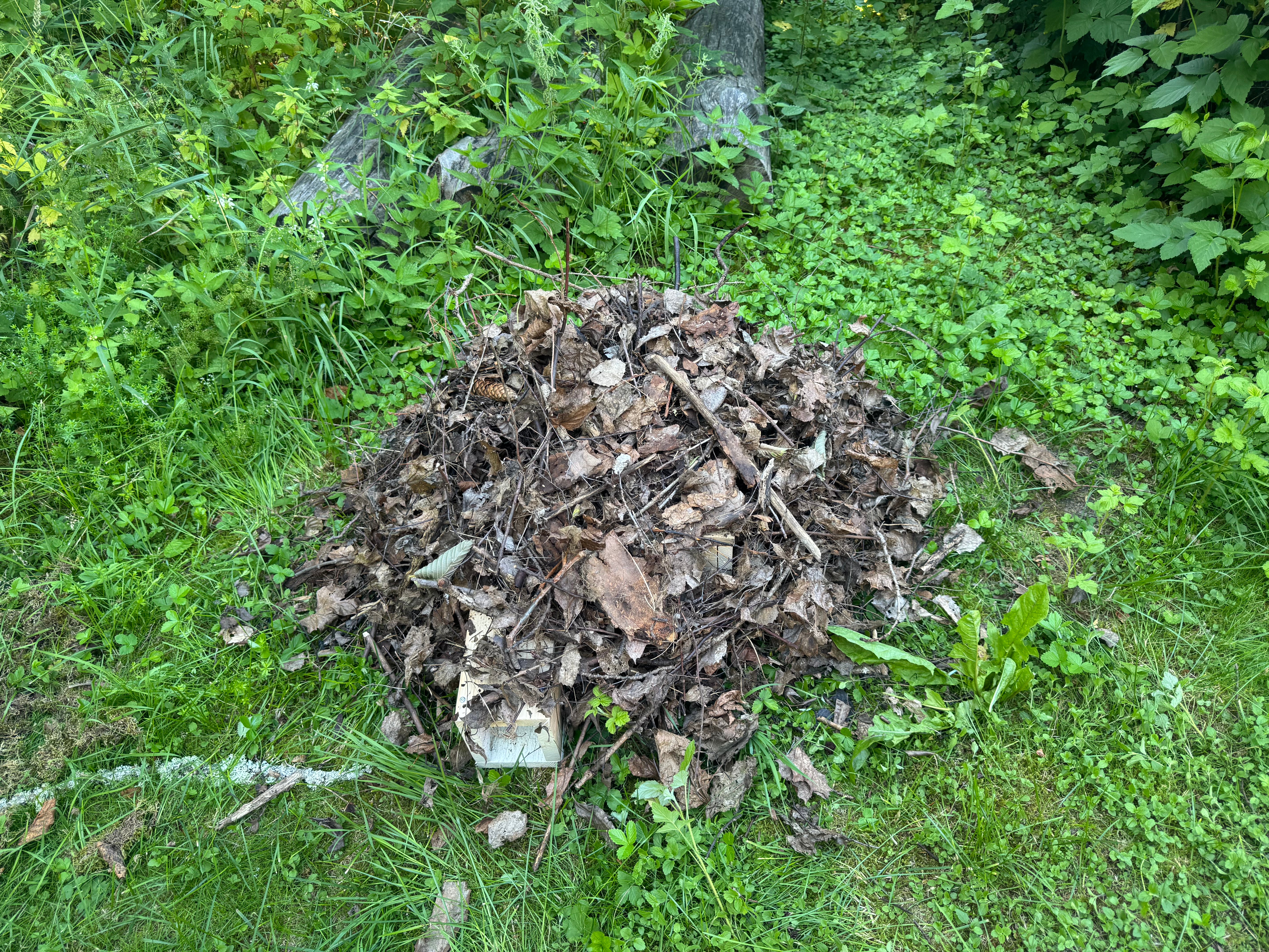Stort Igelkotthus
